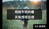 关于观放牛班的春天有感观后感（精选16篇）