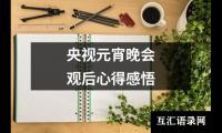 关于央视元宵晚会观后心得感悟（精选18篇）