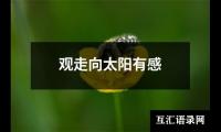 关于观走向太阳有感（推荐13篇）