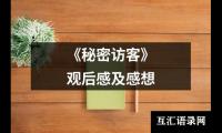 关于《秘密访客》观后感及感想（共19篇）