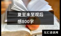 关于夏至未至观后感800字（推荐18篇）