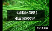 关于《加勒比海盗》观后感500字（精选16篇）