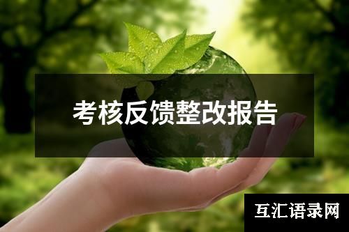 考核反馈整改报告