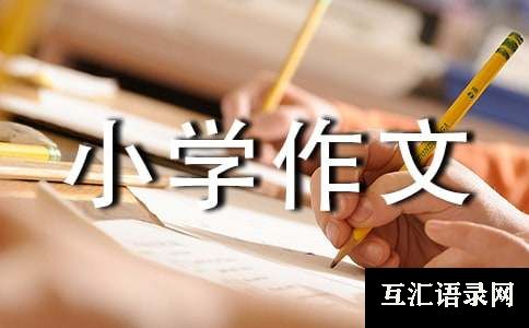 (精选)我的六年级小学作文5篇