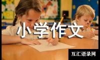 关于拜年小学作文