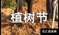 关于大学植树节活动策划书