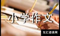 关于(精选)我的六年级小学作文5篇