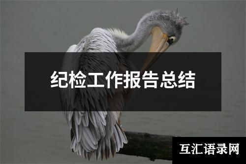 纪检工作报告总结