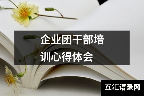 企业团干部培训心得体会