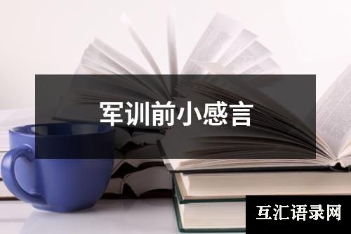 军训前小感言