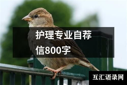 护理专业自荐信800字