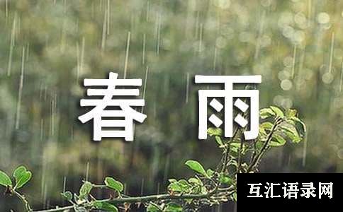 春雨二年级作文