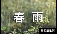 关于春雨二年级作文