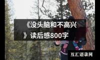 关于《没头脑和不高兴》读后感800字（精选17篇）