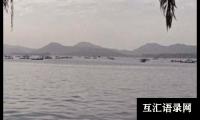 关于美丽的西湖-四年级作文