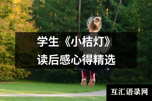 学生《小桔灯》读后感心得精选