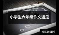 关于小学生六年级作文遇见（共19篇）