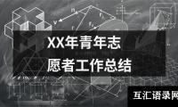 XX年青年志愿者工作总结