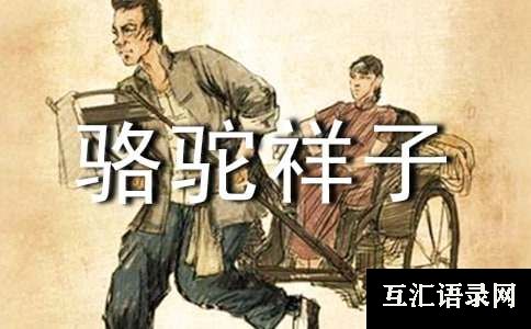 骆驼祥子读后感2篇[热门]