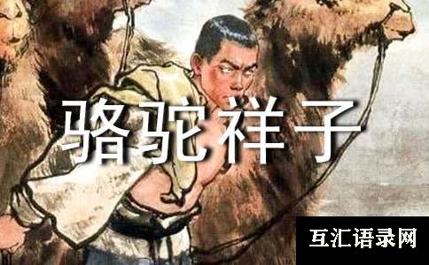 骆驼祥子读书笔记范文