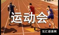 关于学校运动会志愿者活动总结