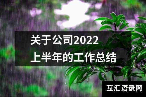 关于公司2022上半年的工作总结