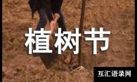 关于小学日记植树节